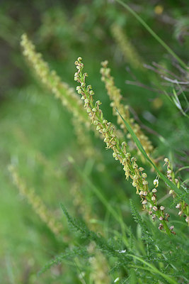 BUITEN BEELD Foto: 326532