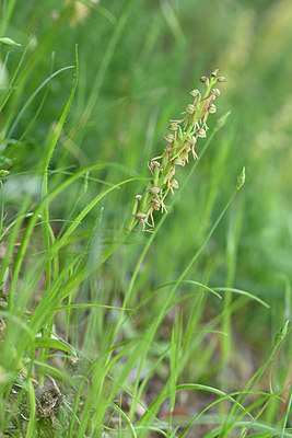 BUITEN BEELD Foto: 326536