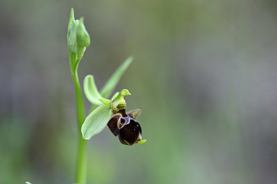 BUITEN BEELD Foto: 326540