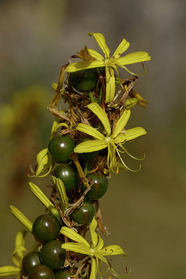BUITEN BEELD Foto: 326550