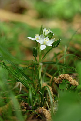 BUITEN BEELD Foto: 326556