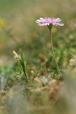 BUITEN BEELD Foto: 326560
