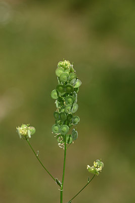 BUITEN BEELD Foto: 326565