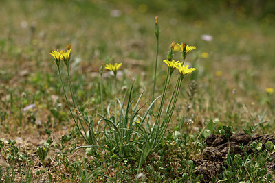 BUITEN BEELD Foto: 326568