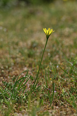 BUITEN BEELD Foto: 326569