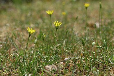 BUITEN BEELD Foto: 326570
