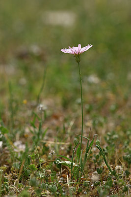 BUITEN BEELD Foto: 326571