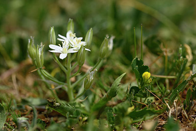 BUITEN BEELD Foto: 326575