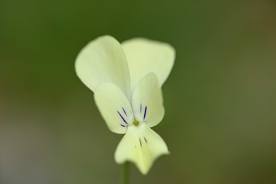 BUITEN BEELD Foto: 326593