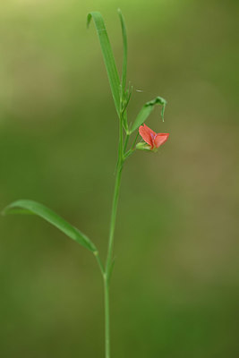 BUITEN BEELD Foto: 326613