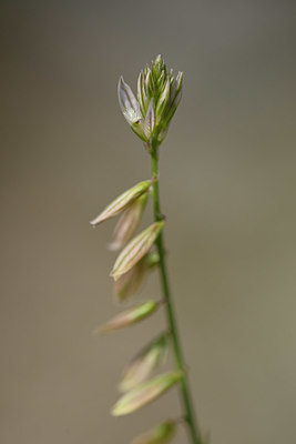 BUITEN BEELD Foto: 326628