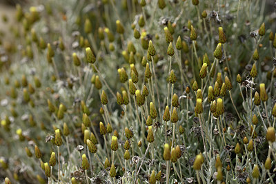 BUITEN BEELD Foto: 326635