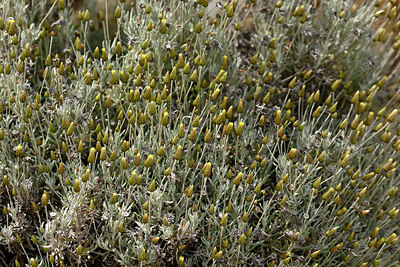 BUITEN BEELD Foto: 326636