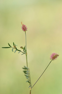 BUITEN BEELD Foto: 326640