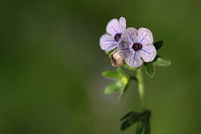 BUITEN BEELD Foto: 326670