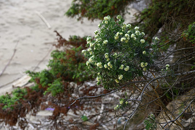 BUITEN BEELD Foto: 326675