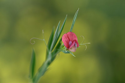 BUITEN BEELD Foto: 326690