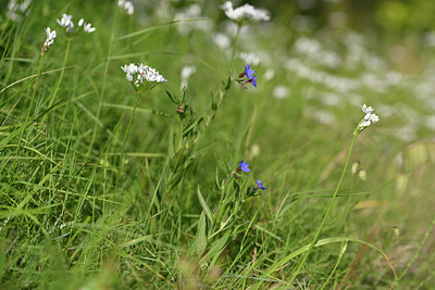 BUITEN BEELD Foto: 326697