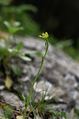 BUITEN BEELD Foto: 326714