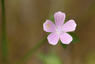 BUITEN BEELD Foto: 326743