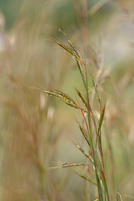 BUITEN BEELD Foto: 326744