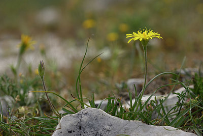 BUITEN BEELD Foto: 326768