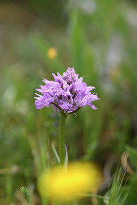 BUITEN BEELD Foto: 326788