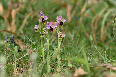 BUITEN BEELD Foto: 326806