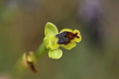 BUITEN BEELD Foto: 326850