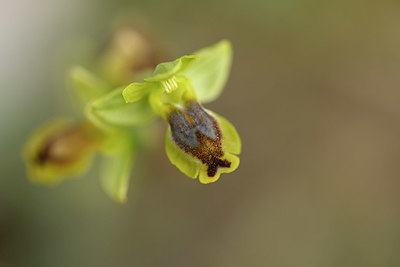 BUITEN BEELD Foto: 326868
