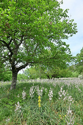 BUITEN BEELD Foto: 326878