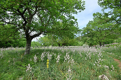 BUITEN BEELD Foto: 326879