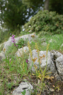 BUITEN BEELD Foto: 326889