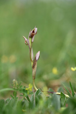 BUITEN BEELD Foto: 326912