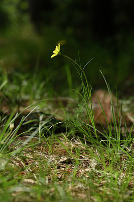 BUITEN BEELD Foto: 326947
