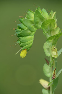 BUITEN BEELD Foto: 326952