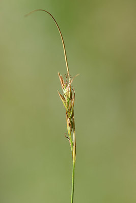 BUITEN BEELD Foto: 326989