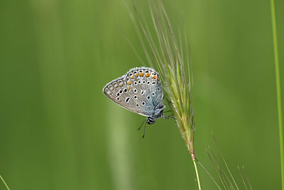 BUITEN BEELD Foto: 327114