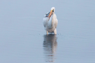 BUITEN BEELD Foto: 327191