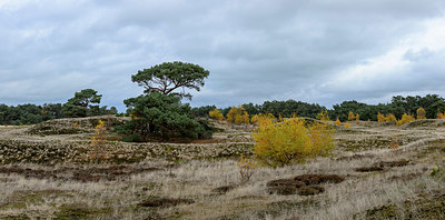 BUITEN BEELD Foto: 327260