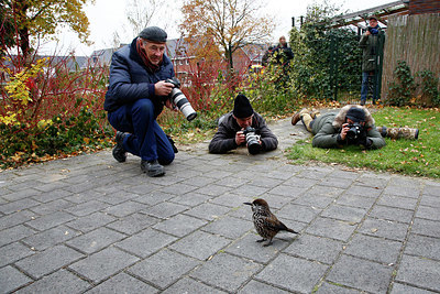 BUITEN BEELD Foto: 327281