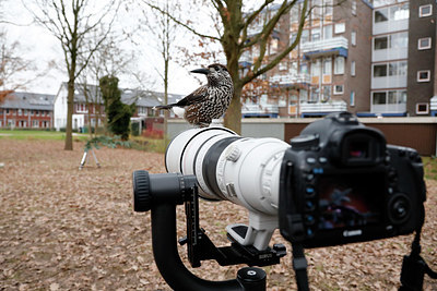 BUITEN BEELD Foto: 327293