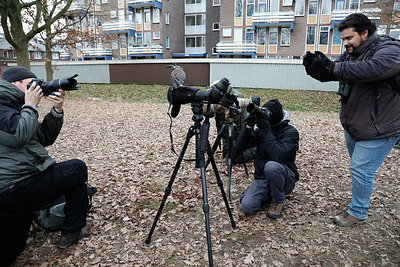 BUITEN BEELD Foto: 327296