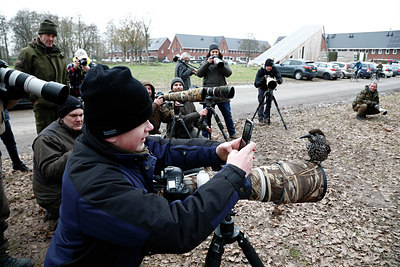 BUITEN BEELD Foto: 327298