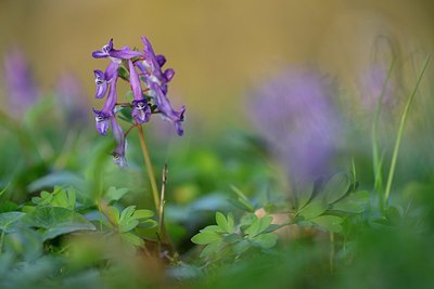 BUITEN BEELD Foto: 327345