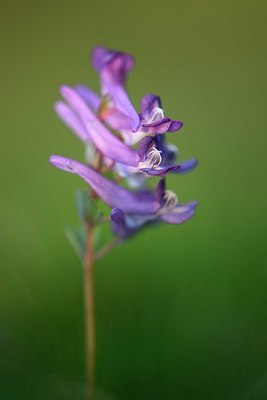 BUITEN BEELD Foto: 327347