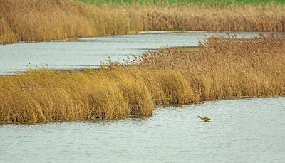 BUITEN BEELD Foto: 327356