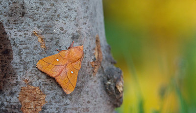 BUITEN BEELD Foto: 327380