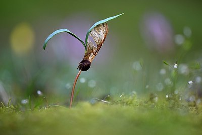 BUITEN BEELD Foto: 327481