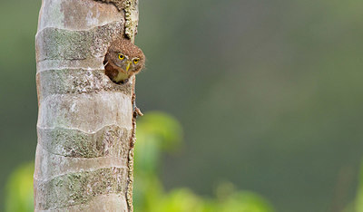 BUITEN BEELD Foto: 327493